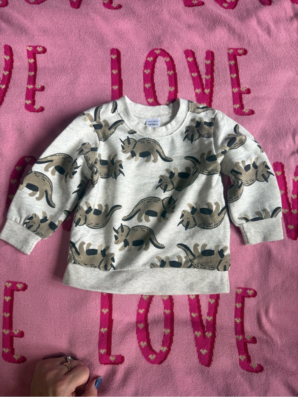 Carter's Gray Sweatshirt with Brown & Black Dinosaur 🦕 Print